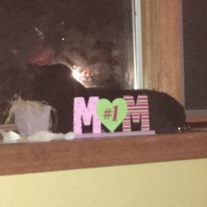 Meet your Posher, Jewel